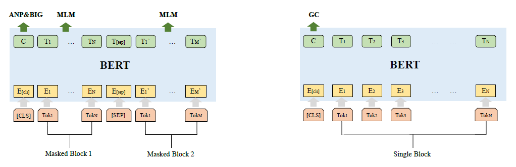 Bert with 4 tasks: MLM, ANP, BIG and GC