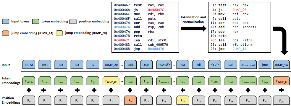 Input representation of jTrans